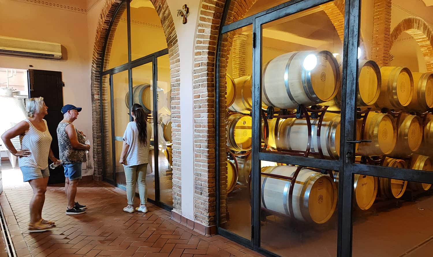 tour guidati cantine vitivinicole val di cornia