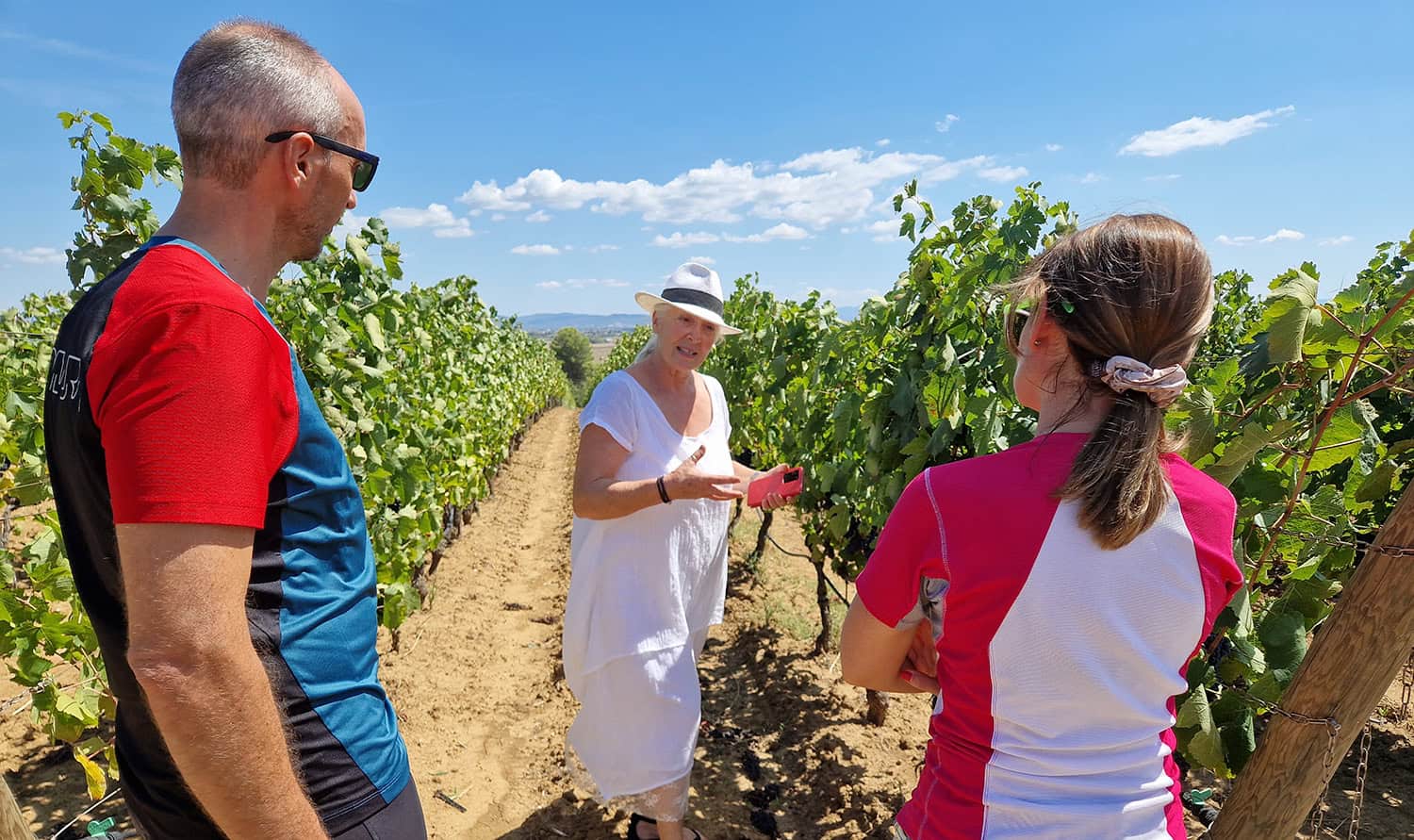 visite guidate cantine vinicole bicicletta