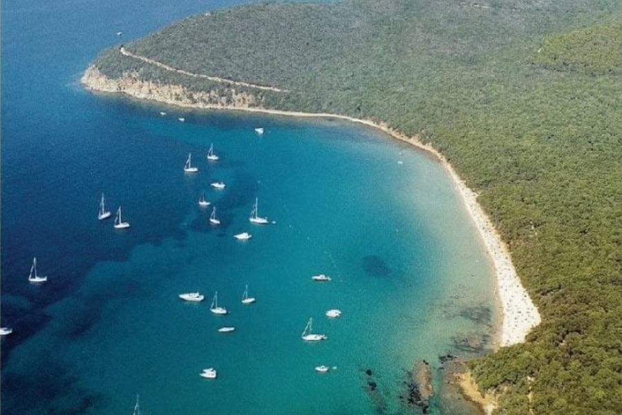 cala violina ebike