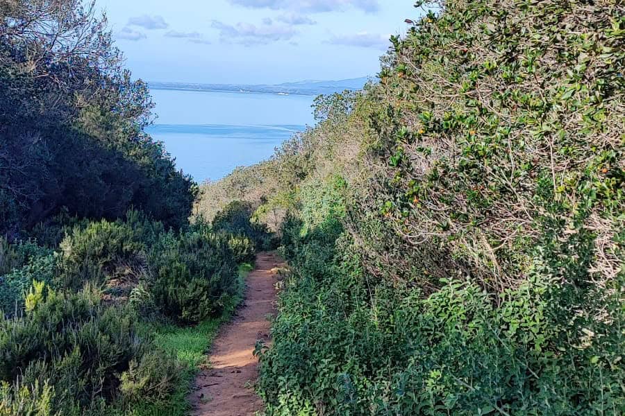 percorso ebike cala violina maremma toscana