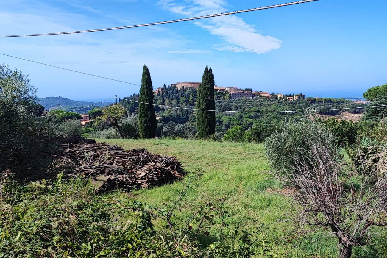 Vista panoramica sulle colline della Val di Cornia con caratteristici cipressi toscani
