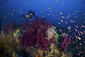 Argentario Divers place picture