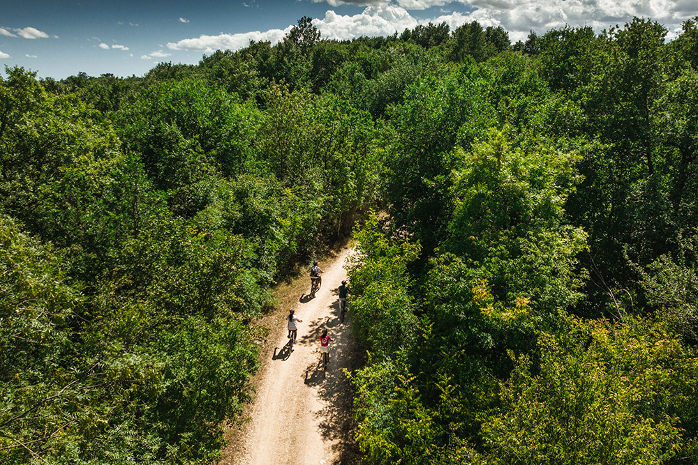 Ripresa dall'alto di un gruppo di ciclisti che esplora i boschi della Maremma toscana durante un tour guidato in e-bike