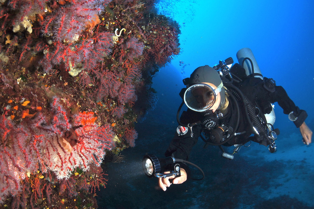 Stefania di Argentario Divers illumina con la torcia una parete ricoperta di corallo e gorgonie rosse durante un'immersione nel parco nazionale dell'Arcipelago Toscano